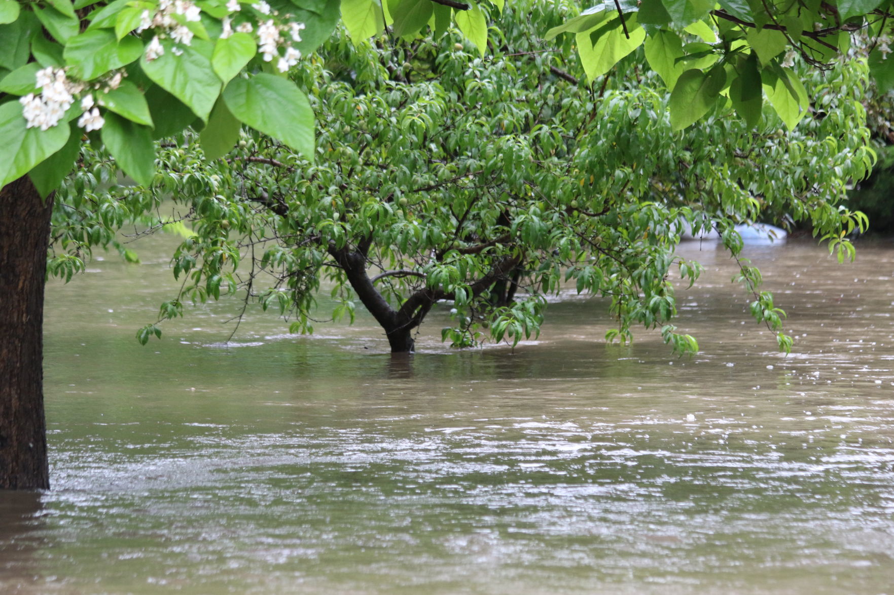 Skiatook Flooding